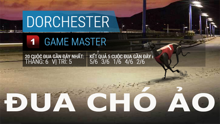 chơi cá cược đua chó ảo chơi cá cược đua chó ảo